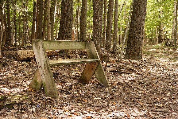 Peninsula Park Bench
