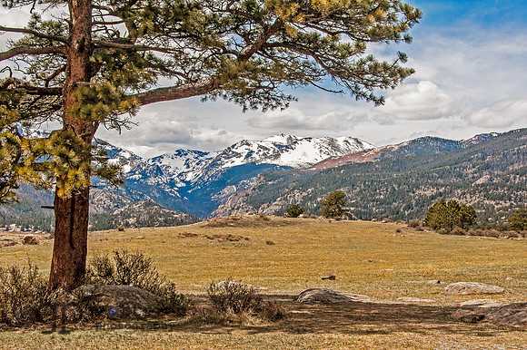 RMNP Moraine