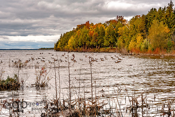 Autumn Bay