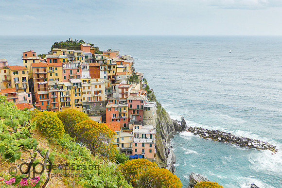 Manarola (Cinque Terre)
