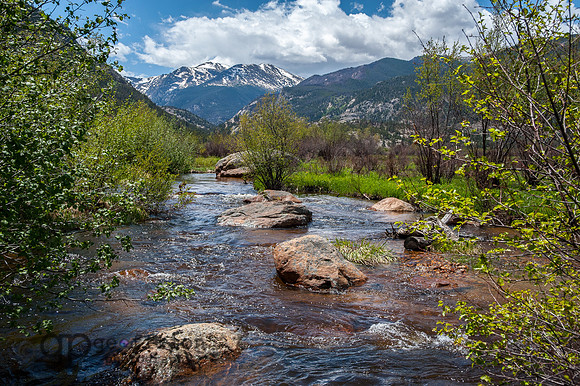 Stream in RMNP