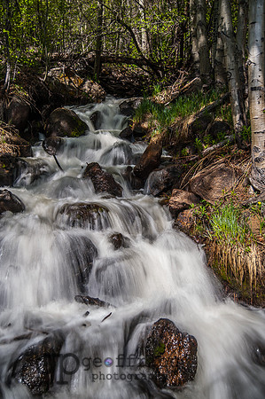 RMNP