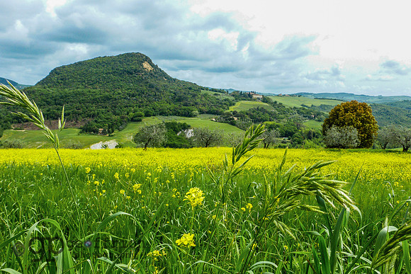 Tuscany Countryside