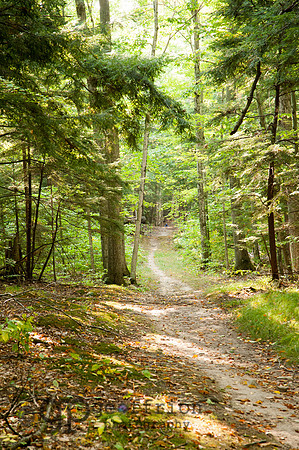 Path in Peninsula State Park